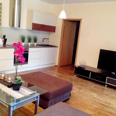 Apartamento City Center - Narva Mnt *